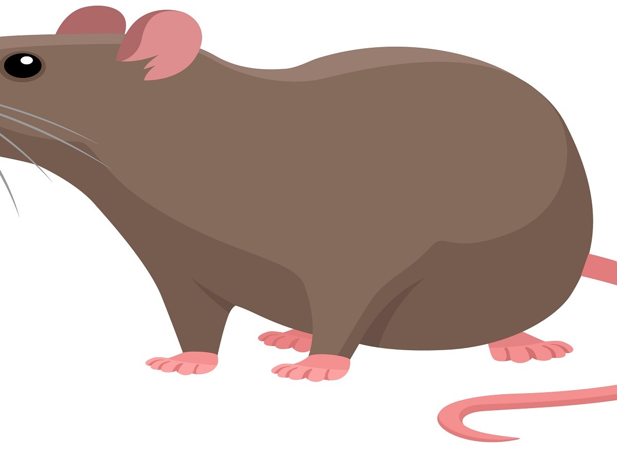 The Mice that ate the Iron&nbsp;Balance