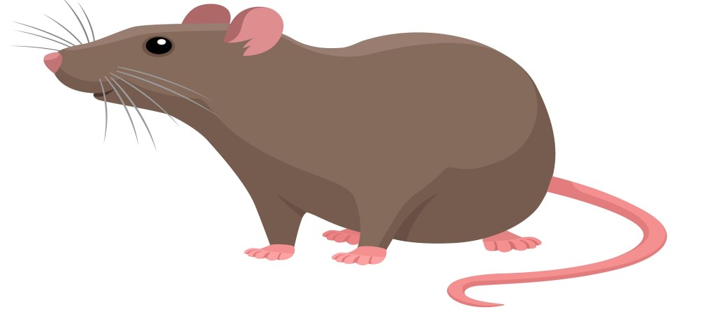 The Mice that ate the Iron&nbsp;Balance