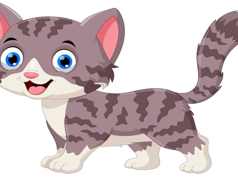 Tenali Raman’s cat