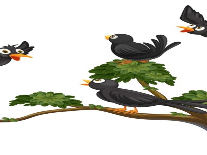 Crow in the&nbsp;Kingdom