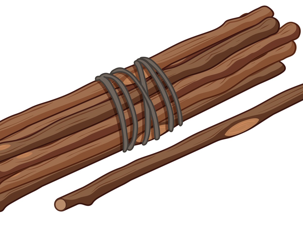 A Bundle of&nbsp;Sticks